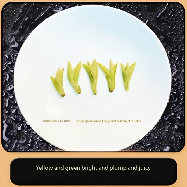 Xihu Longjing Premium Only Tea Premium Tea